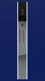 زاگرس نقاب دار با لاین نوری - Image 2